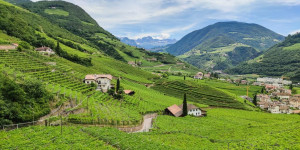 Beitragsbild des Blogbeitrags Südtirol Tipps: Schöne Ausflugsziele entlang der Südtiroler Weinstraße (Video)