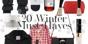 Beitragsbild des Blogbeitrags 20 Winter Must-Haves 