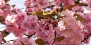Beitragsbild des Blogbeitrags Monday Mornings #31: Alles vorbei?