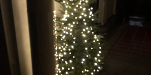 Beitragsbild des Blogbeitrags A Christmas card from me to you!
