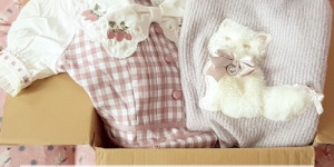 Beitragsbild des Blogbeitrags Liz Lisa unboxing