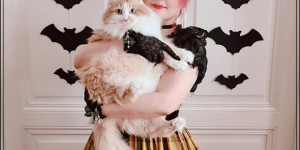Beitragsbild des Blogbeitrags September - November 2021 OOTD