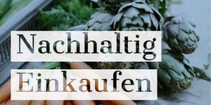 Beitragsbild des Blogbeitrags 5 Tipps zum NACHHALTIG Einkaufen 