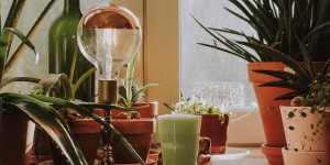 Beitragsbild des Blogbeitrags So machst du einen guten Matcha Latte Vegan