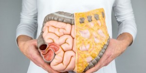 Beitragsbild des Blogbeitrags PODCAST | Wie kann dir die TCM Ernährung bei Reizdarm helfen?