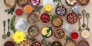 Beitragsbild des Blogbeitrags PODCAST | Ayurveda und TCM Ernährung – Ein Interview mit Tasty Katy