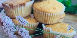 Beitragsbild des Blogbeitrags REZEPT | Zitronige Joghurt-Muffin