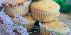 Beitragsbild des Blogbeitrags REZEPT | Zitronige Joghurt-Muffin 