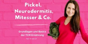 Beitragsbild des Blogbeitrags PODCAST | TCM GRUNDLAGEN – Pickel, Neurodermitis, Mitesser & Co.