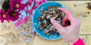 Beitragsbild des Blogbeitrags REZEPT | Energiebällchen