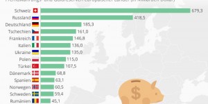 Beitragsbild des Blogbeitrags Deutschlands Abstieg, Erosion Devisen + Goldreserven, Geschäftsfreundlichkeit 