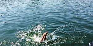Beitragsbild des Blogbeitrags Einfach schwimmen schwimmen schwimmen 