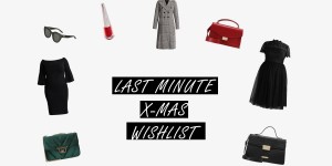 Beitragsbild des Blogbeitrags LAST MINUTE X-MAS WISHLIST 