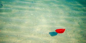 Beitragsbild des Blogbeitrags Woche 39 – was sich in der Schwangerschaft ändert!