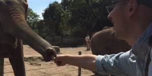 Beitragsbild des Blogbeitrags Von Papa zu Papa – Interview mit Birk Grüling