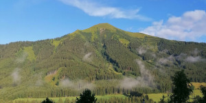 Beitragsbild des Blogbeitrags Die Edelraute in Hohentauern – euer Ort für die Herbstferien?