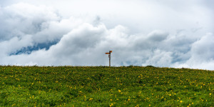 Beitragsbild des Blogbeitrags Quo vadis, Casual Dad Papa Blog?
