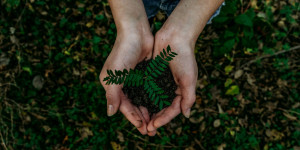 Beitragsbild des Blogbeitrags Nachhaltiges Familienleben: Tipps und Ideen zur Umsetzung im Alltag