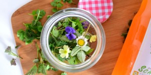 Beitragsbild des Blogbeitrags Oxymel – der Frühlings-Sauerhonig für mehr Schwung im Darm