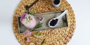 Beitragsbild des Blogbeitrags Heidelbeere im Sommer – das kleine Früchten bei Magenproblemen