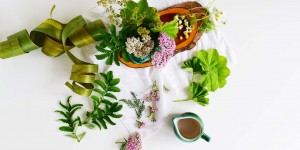 Beitragsbild des Blogbeitrags Der krampflösende Vierermix – Heilpflanzen bei Menstruationskrämpfen 