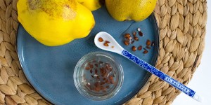 Beitragsbild des Blogbeitrags Heilfrucht Quitte – Quittenkerngel für Haut und Haare & Hals-Honig