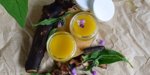 Beitragsbild des Blogbeitrags Beinwellsalbe – „Knochenheiler“ selbst gemacht