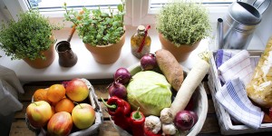 Beitragsbild des Blogbeitrags Fräulein Grün fragt … Florissa, den österreichischen Pionier des biologischen Gärtnerns