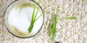 Beitragsbild des Blogbeitrags Gerstengras Latte – regionales Superfood