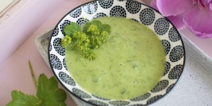 Beitragsbild des Blogbeitrags Die pflegende Alchimistin – Gesichtsmaske aus Frauenmantel 