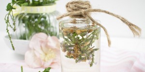 Beitragsbild des Blogbeitrags Lebenselixier mit Eisenkraut – das Kraut der Kräuter
