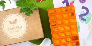 Beitragsbild des Blogbeitrags Mein Gärtnerglück in einer Holzkiste – die Samenbox von Farmer Panorama 