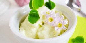 Beitragsbild des Blogbeitrags Wildes Waldeis mit Sauerklee 