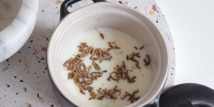 Beitragsbild des Blogbeitrags Bauchweh Ade mit Kümmel & Fenchel – Bauchwehöl für Babys und Kinder