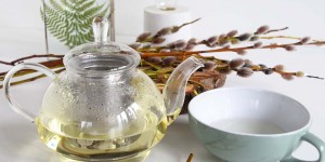 Beitragsbild des Blogbeitrags Weidenrinde – das Aspirin aus der Natur