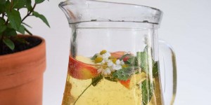 Beitragsbild des Blogbeitrags Kühlende Mutterkraut-Limonade mit der gewissen Süße