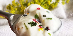 Beitragsbild des Blogbeitrags Wild durchs Jahr im Juli – Frischkäse mit dem echten Labkraut