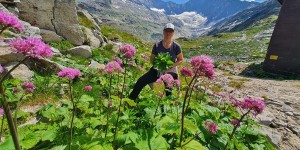 Beitragsbild des Blogbeitrags Meisterwurz – Vom Wurzelkauen und Blatterweichen