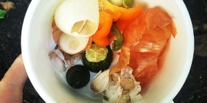Beitragsbild des Blogbeitrags Durchs Kräuterjahr – Vollherbst und ein paar Details über den perfekten Kompost