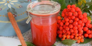 Beitragsbild des Blogbeitrags Wild durchs Jahr – Vogelbeermus, meine Naturdelikatesse