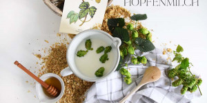 Beitragsbild des Blogbeitrags Hopfenmilch – Gute Nacht Getränk für süße Träume