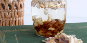 Beitragsbild des Blogbeitrags Bye bye Reizhusten – Eibischhustensaft selbst gemacht