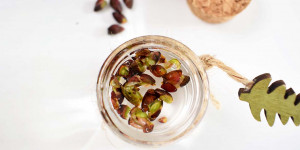 Beitragsbild des Blogbeitrags Die Gemmotherapie und ihre wichtigsten Knospen