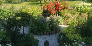 Beitragsbild des Blogbeitrags Meine Bauernbeete aus Fichtenholz – der Wort, wo die Kräuter einziehen werden