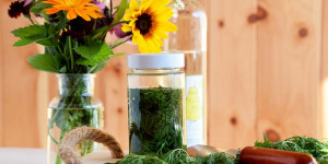 Beitragsbild des Blogbeitrags Stark fürs Immunsystem – Der einjährige Beifuß – Artemisia annua