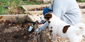 Beitragsbild des Blogbeitrags Meine top 5 Gartenwerkzeuge