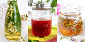 Beitragsbild des Blogbeitrags 5 Sommerrezepte für die eigene Naturapotheke