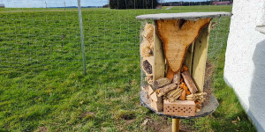 Beitragsbild des Blogbeitrags Wir bauen ein Insektenhotel für unseren Naturgarten 