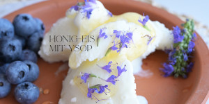 Beitragsbild des Blogbeitrags Honig Eis mit Ysop – aus meinem neuen Buch Bienenapotheke 