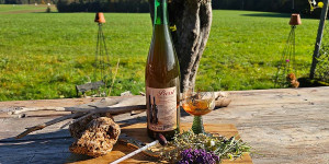 Beitragsbild des Blogbeitrags Medizinalwein – eine Rennaissance